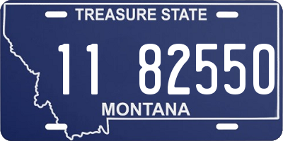 MT license plate 118255O