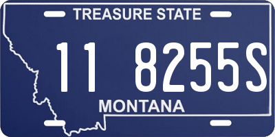 MT license plate 118255S