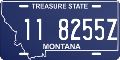 MT license plate 118255Z