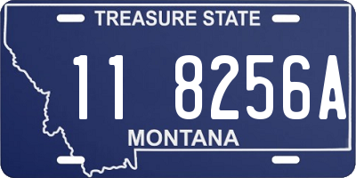 MT license plate 118256A