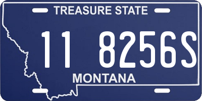 MT license plate 118256S