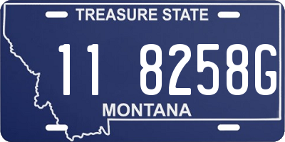 MT license plate 118258G