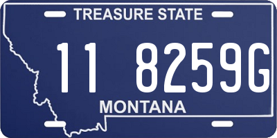 MT license plate 118259G
