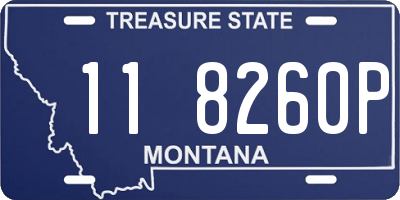MT license plate 118260P