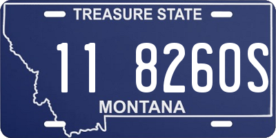 MT license plate 118260S