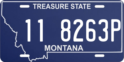 MT license plate 118263P