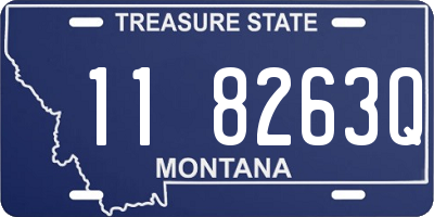 MT license plate 118263Q