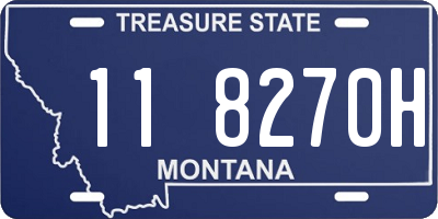 MT license plate 118270H