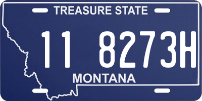 MT license plate 118273H