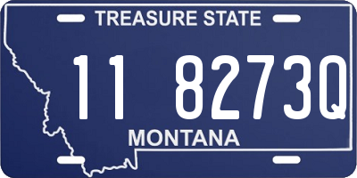 MT license plate 118273Q