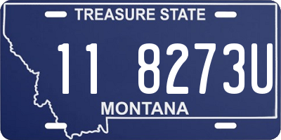 MT license plate 118273U