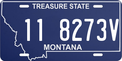 MT license plate 118273V