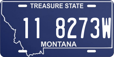 MT license plate 118273W