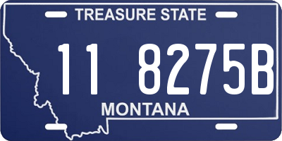MT license plate 118275B