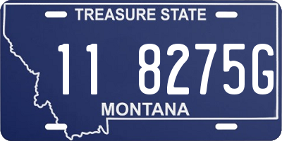 MT license plate 118275G