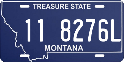 MT license plate 118276L