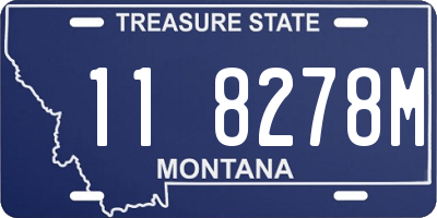 MT license plate 118278M