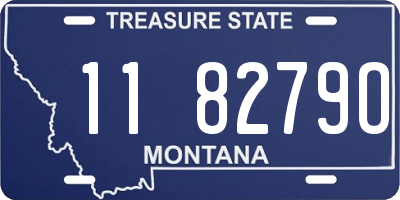 MT license plate 118279O