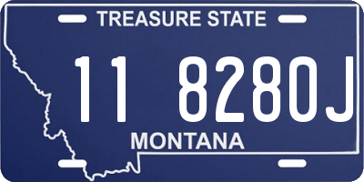 MT license plate 118280J