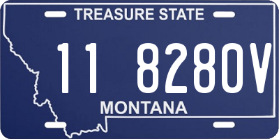 MT license plate 118280V