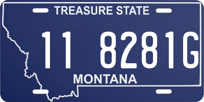 MT license plate 118281G