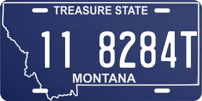 MT license plate 118284T