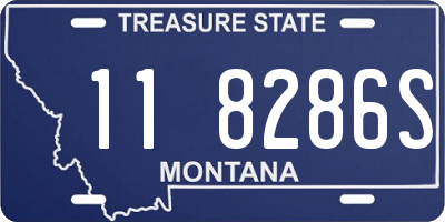 MT license plate 118286S