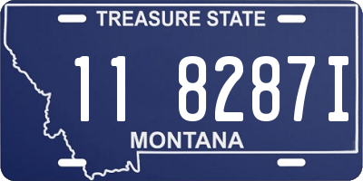 MT license plate 118287I