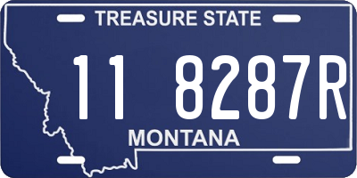 MT license plate 118287R