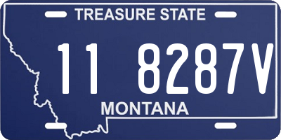 MT license plate 118287V