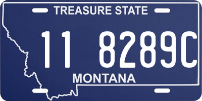 MT license plate 118289C