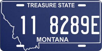 MT license plate 118289E