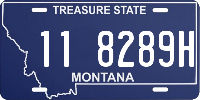 MT license plate 118289H