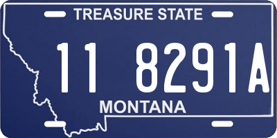 MT license plate 118291A