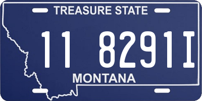 MT license plate 118291I