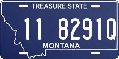 MT license plate 118291Q