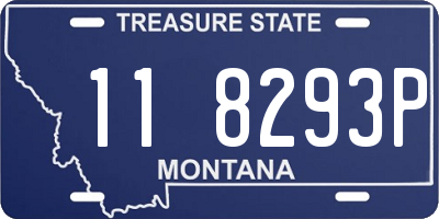 MT license plate 118293P