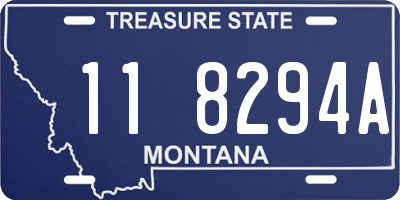MT license plate 118294A