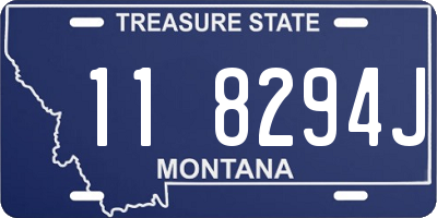 MT license plate 118294J