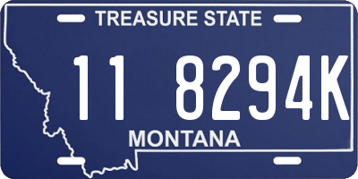 MT license plate 118294K