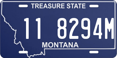 MT license plate 118294M