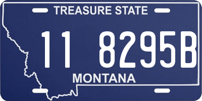 MT license plate 118295B