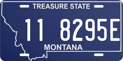 MT license plate 118295E