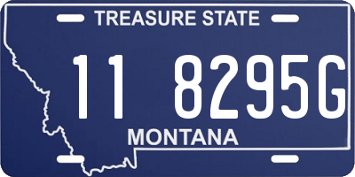 MT license plate 118295G