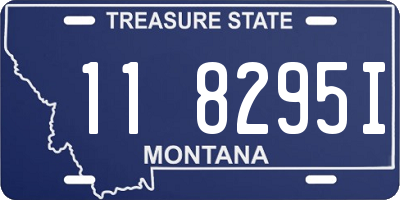 MT license plate 118295I