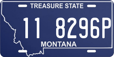 MT license plate 118296P