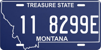 MT license plate 118299E