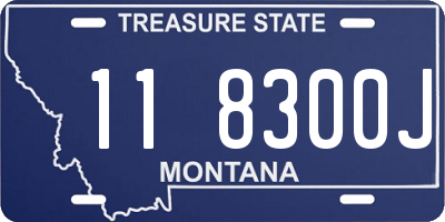 MT license plate 118300J