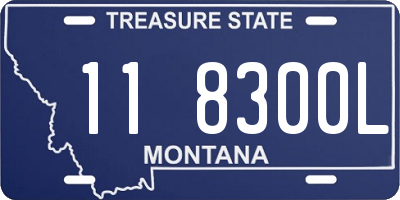 MT license plate 118300L