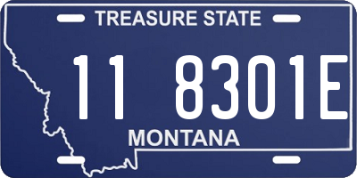 MT license plate 118301E